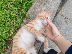 -十九路军淞沪抗日阵亡将士陵园