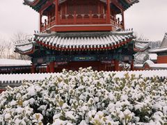 -西海子公园