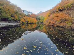 -灵山