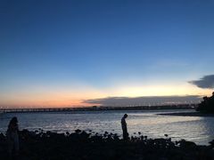 -宝安西湾红树林湿地公园