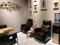 -三只熊皮肤管理中心