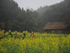 -常德桃花源景区