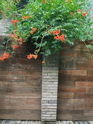 -红砖美术馆-红砖院子·宴会厅