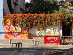 -溪岸路花鸟市场