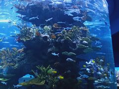 -多彩贵州城极地海洋世界