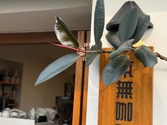 -本無咖啡·BeanWood Coffee