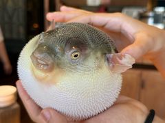 -永安鱼庄·镇江菜(丁卯店)