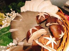 -麻路成都火锅(柏威年店)