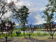 -野鸭湖国家湿地公园