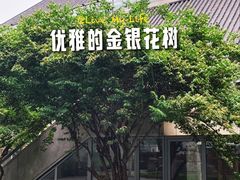 -炎黄艺术馆