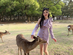 -奈良公园