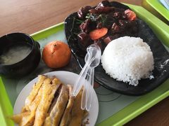 -上海野生动物园老虎餐厅