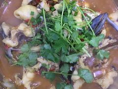 -全乐鱼馆·淳牌有机鱼直营店