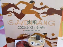 -沈阳铁西万象汇