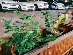 -木屋烧烤(大运店)