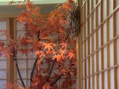 -松鱼亭·和牛烧肉(协鑫广场店)