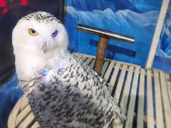 -成都浩海立方海洋公园