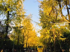 -四川大学(望江校区)