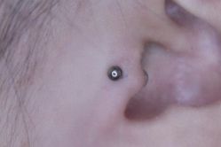 -众刺纹画·纹身·穿孔饰品·海娜定制