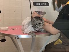 -Double Rui宠物酒店