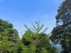 -黄埔油麻山森林公园