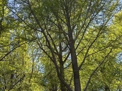 -宣武艺园