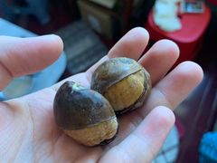 -杨记板栗(天虹总店)