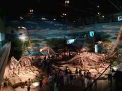 -自贡恐龙博物馆