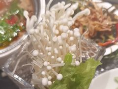 -蒙都43°9羊火锅(平庄店)
