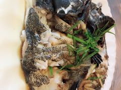 清蒸石斑鱼-覃记海鲜美食餐厅