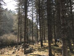 -硗碛藏寨·神木垒景区