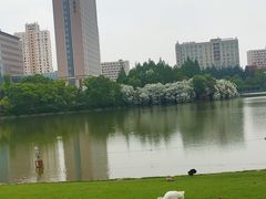 -黄兴公园