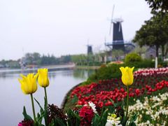 -上海鲜花港
