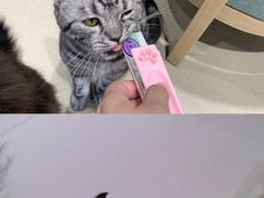 -藏猫猫咖啡主题馆(中央大道店)