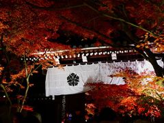 -醍醐寺