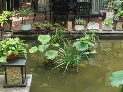 -酒蜻蜓·庭院私房菜(天元东路店)