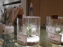 -XI·LaundryCafe 喜咖自助洗衣咖啡店