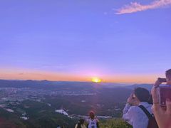 -长虫山生态公园风景林