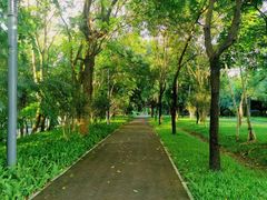 -小杨生煎(深圳岗厦北店)