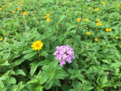 -令狐冲烤鱼·烧菜馆(达明店)