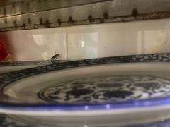 -云溪河冷锅鱼(成都玉林小吃街店)