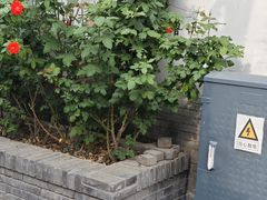 -北京鲁迅博物馆(北京新文化运动纪念馆鲁博馆区)