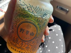 -野萃山·潮汕厚果汁(十亩地店)