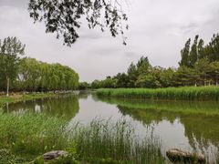 -大兴滨河森林公园