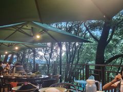 -巴倒烫陆派火锅山庄(南山总店)