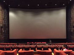 Palace&nbsp;Cinema百丽宫影城(大慈寺太古里店)-成都百丽宫影城(LUXE太古里店)