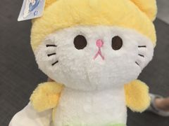 -大鲁阁保龄球(苏州园区店)