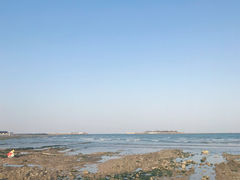 -日照海滨国家森林公园