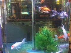 大堂-08涮肉坊(广顺南大街店)