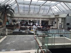 -和园景逸大酒店朗月汤泉